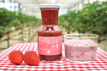 【湘南産】完熟いちごのいちごミルクの素＆ぷるぷるいちごの素セット