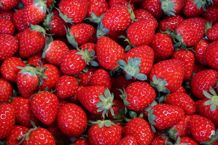 【湘南産】完熟いちごのいちごミルクの素＆ぷるぷるいちごの素セット