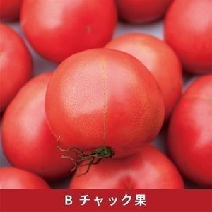 訳あり 大玉トマト 3.6キロ ( 訳あり FN-SupportProject 増量 年末企画 )