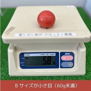 訳あり 大玉トマト 3.6キロ ( 訳あり FN-SupportProject 増量 年末企画 )