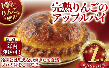 アップルパイ 【冷凍 | 完熟りんごのアップルパイ】