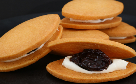 藤稔レーズンサンド | お菓子 スイーツ おやつ