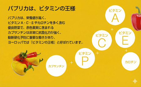 パプリカ 2～3種 セット 【パプリカ】