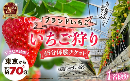 いちご狩り 体験チケット 【体験】