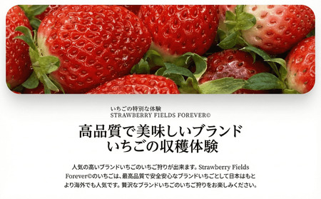 いちご狩り 体験チケット 【体験】