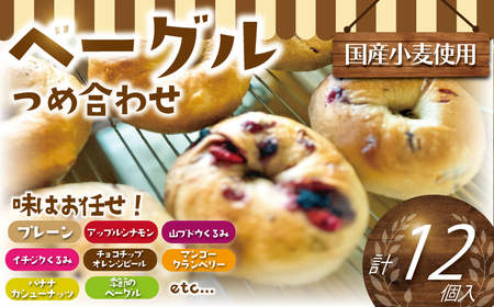 人気 ベーグル 12個 【人気】 国産小麦使用 ベーグル