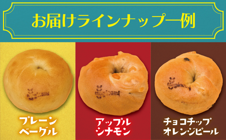 人気 ベーグル 12個 【人気】 国産小麦使用 ベーグル