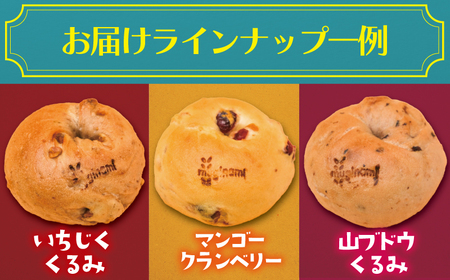 人気 ベーグル 12個 【人気】 国産小麦使用 ベーグル