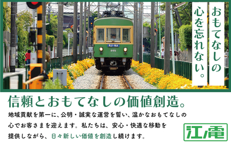 江ノ電グッズ プラレール サウンド 江ノ電1000形　【 電車 おもちゃ 】