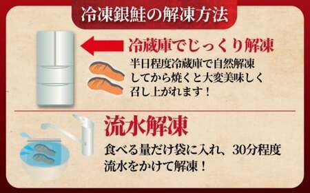 銀鮭西京漬け 1kg 銀鮭