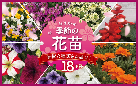 季節 の 花苗 おまかせ 18 ポット 【花苗】