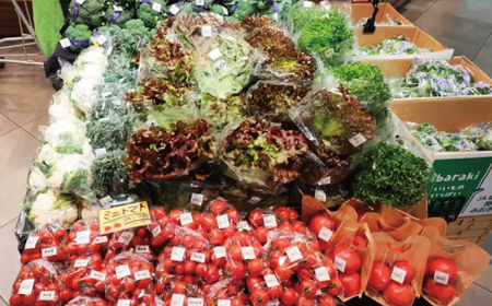 朝採れ 新鮮 野菜セット 約 5kg 農家直送