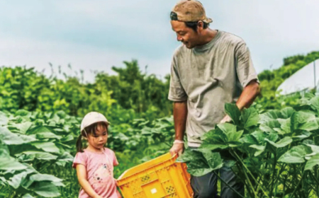 訳あり さつまいも シルクスイート 10kg 