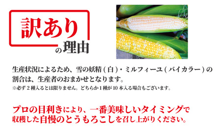 訳あり とうもろこし 計 10本 約 4 ～ 5kg