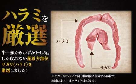 【湘南ハラミ】 計 1.3kg以上 【 牛ハラミ サガリ TKG025 】