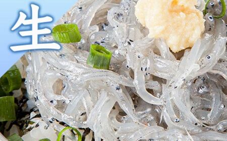 しらす様☆ 駿河湾産釜揚げしらす 200g | ヤママル オンラインショップ