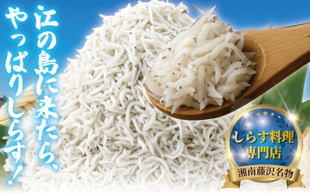 しらす問屋とびっちょ ファミリーお食事券4名様分(大人2名・子供2名)江の島 江ノ島