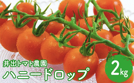 トマト 井出トマト農園 ハニードロップ 2kg 
