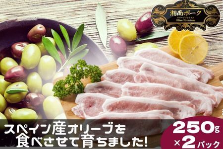  豚肉 藤沢産 湘南ポーク オリーブプレミアム ローススライス2Pと挽肉2Pセット