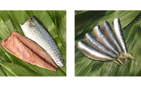 冷蔵 旬のひもの 干物 3～4種 セット /  ひもの 国産 自家製造