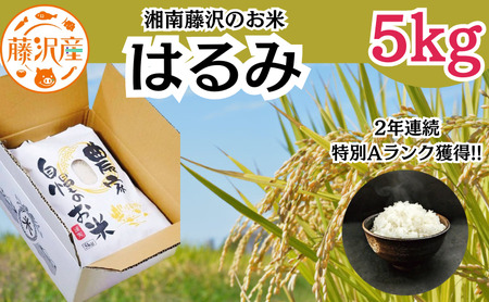 湘南藤沢のお米『はるみ』5kg | 神奈川県藤沢市 | ふるさと納税サイト