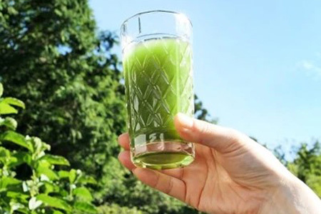 おまかせ 健康セット 【合計9品/菊芋製品入】