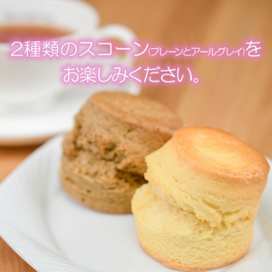 【焼き菓子】スコーン 2種  詰め合わせ〈12個入〉
