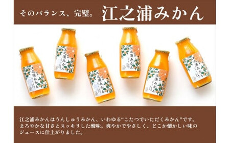 小田原産江之浦みかん１００％ストレートジュース１８０ml６本 【みかんジュース みかんジュース 神奈川県 小田原市 】
