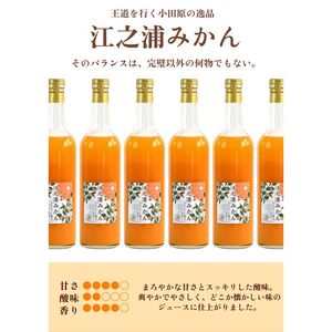 小田原産江之浦みかん１００％ストレートジュース５００ml６本