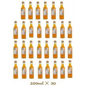 小田原産江之浦みかんスパークリングジュース果汁５０％２００ml３０本