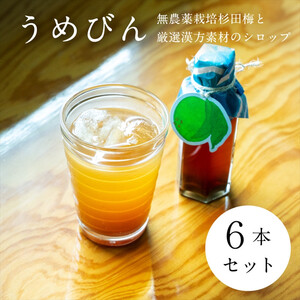 【６本セット】濃厚梅エキスと漢方のシロップ「うめびん（杉田梅） by Kampo Kitchen」【 家庭用 自宅用 贈答品 贈答用 ギフト お取り寄せ お中元 お歳暮 贈り物 お祝い 神奈川県 小田原市 梅 梅】