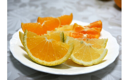 【先行予約】2月おすすめ柑橘詰め合わせ5kg箱<出荷開始:2026年2月5日~2月25日>【 フルーツ 神奈川県 小田原市 フルーツ】