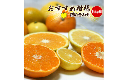 【先行予約】3月おすすめ柑橘詰め合わせ５kg箱＜出荷開始：2026年3月5日~3月25日＞【 フルーツ 神奈川県 小田原市 フルーツ】