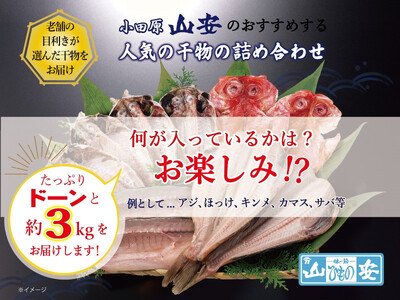 【 小田原 山安 】 おまかせ干物セット 約3kg 【 縞ほっけ開き干し 金目鯛開き干し 真あじ開き干し 赤魚開き干し さば半身干し かます開き干し 干物 大容量 詰合せ 神奈川県 小田原市 干物】