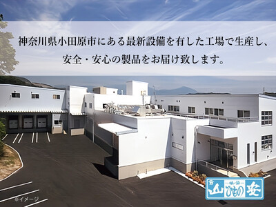 【 小田原 山安 】老舗の極干物 詰め合わせ4種 (10枚) | 干物 詰合せ