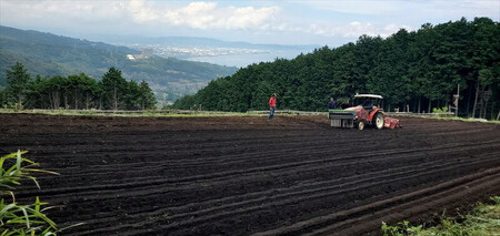 小田原・箱根唯一のそば畑から　小田原北条そば　乾麺　蕎麦生粉5割、3割食べ比べセット！！200ｇ×４袋【 そば 家庭用 自宅用 贈答品 贈答用 ギフト お取り寄せ 御中元 お中元 お歳暮 贈り物 SOBA 蕎麦 麺 メン めん 神奈川県 小田原市 そば】