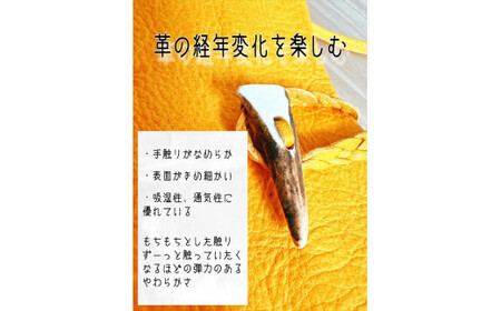 鹿の角ボタンのウォーカーズサコッシュ(ブルー)【 神奈川県 小田原市  サコッシュ サコッシュ】