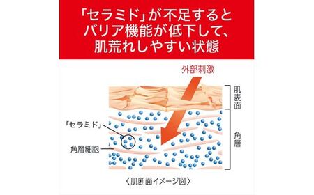 花王　キュレル　スキンケアセットII【 化粧品 コスメ 神奈川県 小田原市 】