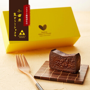 極上の口溶け。幸せの生ガトーショコラ 500g【 高級 濃厚  極上スイーツ グルテンフリー チョコ ショコラテリーヌ 高品質クーベルチュールチョコレート使用 一流シェフ 神奈川県 小田原市 ガトーショコラ ガトーショコラ】