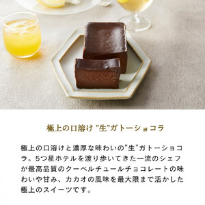 極上の口溶け。幸せの生ガトーショコラ 500g【 高級 濃厚  極上スイーツ グルテンフリー チョコ ショコラテリーヌ 高品質クーベルチュールチョコレート使用 一流シェフ 神奈川県 小田原市 ガトーショコラ ガトーショコラ】
