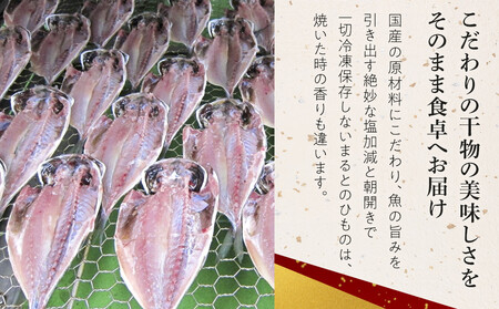 小田原ひもの詰合せ　SA30【惣菜 魚 干物 ひもの お取り寄せ 御中元 お中元 お歳暮 父の日 母の日 贈り物 家庭用 自宅用 贈答品 贈答用 ギフト 定番 朝食 朝ごはん 国産 中あじ  神奈川県 小田原市 ひもの】