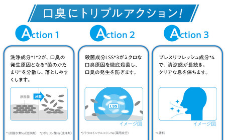 LION ライオンオーラルケアセット ｜ 歯磨き 歯磨き