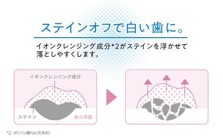 LION ライオンオーラルケアセット ｜ 歯磨き 歯磨き