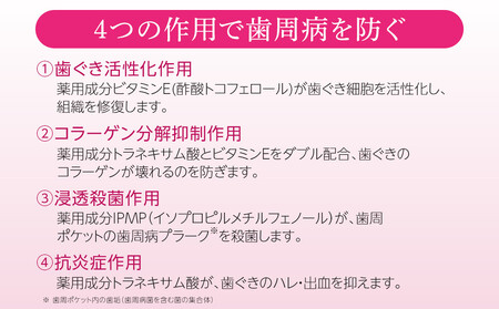 【寄附額見直しました！】LION ハグキプラスリンスセット ｜ 日用品 ふるさと納税 歯磨き粉 歯磨き粉