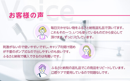 【寄附額見直しました！】LION ハグキプラスリンスセット ｜ 日用品 ふるさと納税 歯磨き粉 歯磨き粉