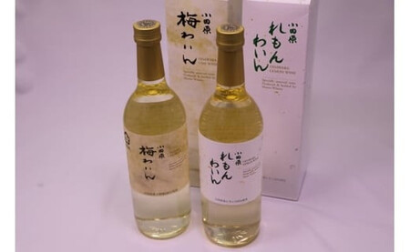 城下町小田原の飲み比べわいんＡセット(2本セット)【ワイン】