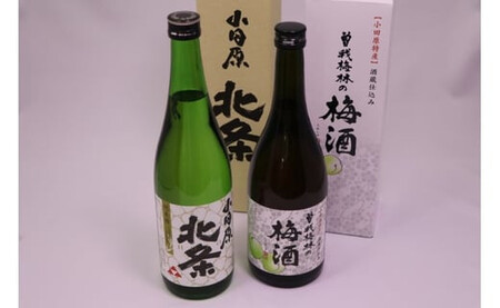 小田原のめぐみ。北条純米酒と曽我梅酒2本セット【酒】