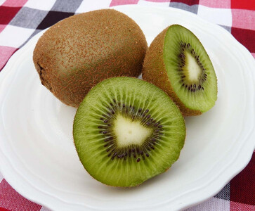 手摘み熟成キウイフルーツ〈出荷時期:2025年11月1日出荷開始～2026年6月10日出荷終了〉【手摘み熟成キウイフルーツ 丁寧に収穫 小田原のキウイフルーツ 熟成キウイフルーツ 神奈川県 小田原市 】