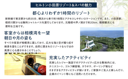 ブラッセリー「フローラ」ランチブッフェ招待券【ヒルトン ブッフェ　ブラッセリー「フローラ」 1組2名様 招待券 食事 肉 魚 野菜 デザート プレゼント 記念　旅行 ヒルトン小田原 ご褒美 神奈川県 小田原市 ブッフェ ブッフェ】