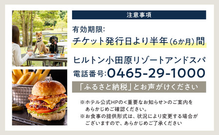 ブラッセリー「フローラ」ランチブッフェ招待券【ヒルトン ブッフェ　ブラッセリー「フローラ」 1組2名様 招待券 食事 肉 魚 野菜 デザート プレゼント 記念　旅行 ヒルトン小田原 ご褒美 神奈川県 小田原市 ブッフェ ブッフェ】